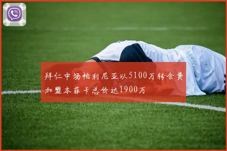 拜仁中场帕利尼亚以5100万转会费加盟本菲卡总价达1900万